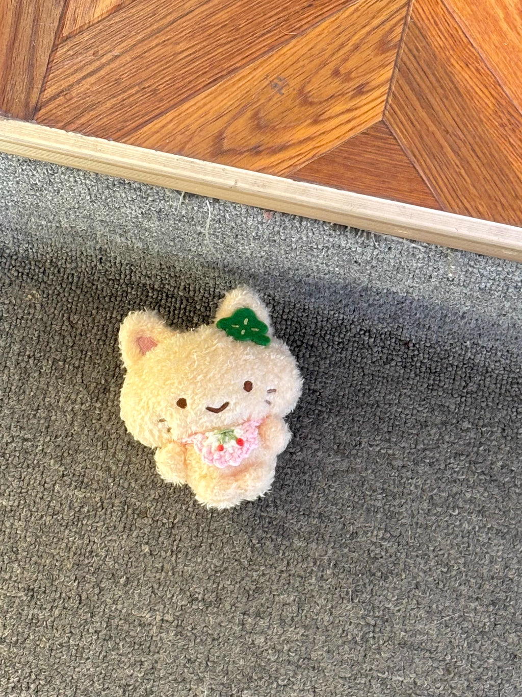 [cn | pre-order] nosleeppark lucky orange cat 10 cm plush keyring