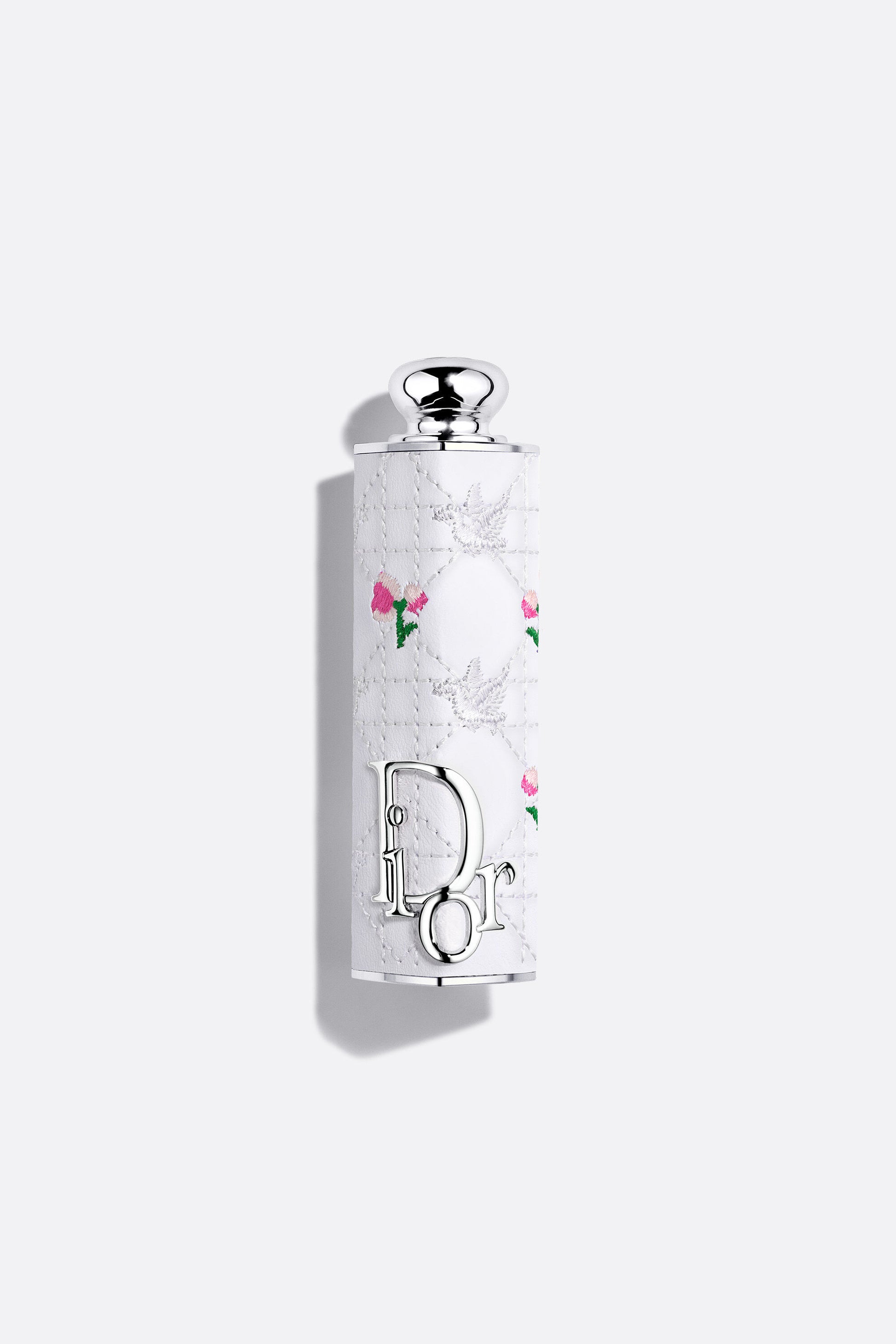 [pre-order] dior addict fashion case limited edition